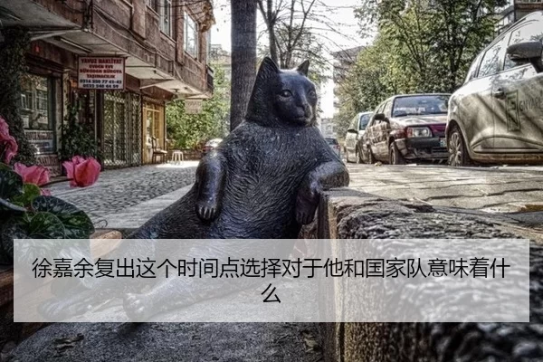 徐嘉余复出这个时间点选择对于他和国家队意味着什么